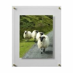 Mikasa Clear 11" X 14" Floating Frame