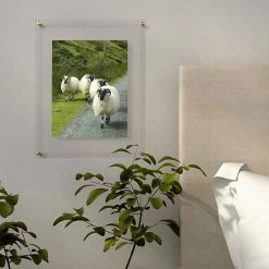 Mikasa Clear 11" X 14" Floating Frame -Mikasa Sales Store unnamed file 476