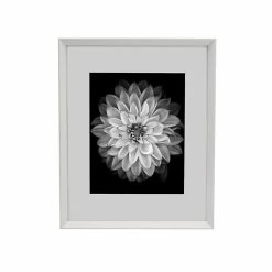 Mikasa Portrait Floating 11" X 14" Frame