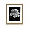 Mikasa Portrait Floating 8" X 10" Frame 2 Mikasa Portrait Floating 8" X 10" Frame -Mikasa Sales Store unnamed file 637