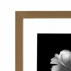 Mikasa Portrait Floating 8" X 10" Frame -Mikasa Sales Store unnamed file 639