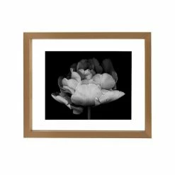 Mikasa Portrait Floating 8" X 10" Frame -Mikasa Sales Store unnamed file 644