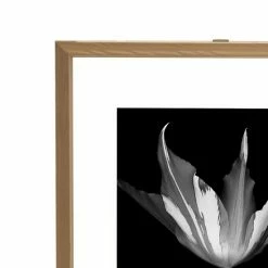 Mikasa Floating Portrait 11" X 14" Frame -Mikasa Sales Store unnamed file 727