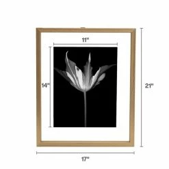 Mikasa Floating Portrait 11" X 14" Frame -Mikasa Sales Store unnamed file 728